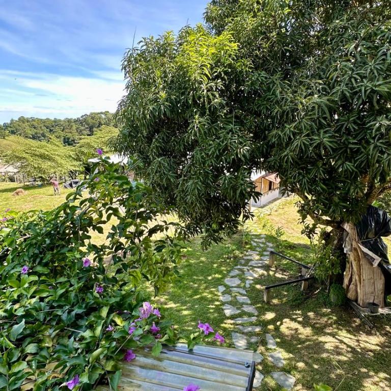 Finca en Doradal ( Hacienda Napoles y Rio Claro ) - Seven-Bedroom House - 15