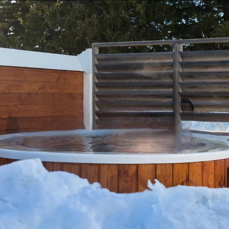 L'Après-ski Chamrousse 1700 - Appartement 1 Chambre - 4
