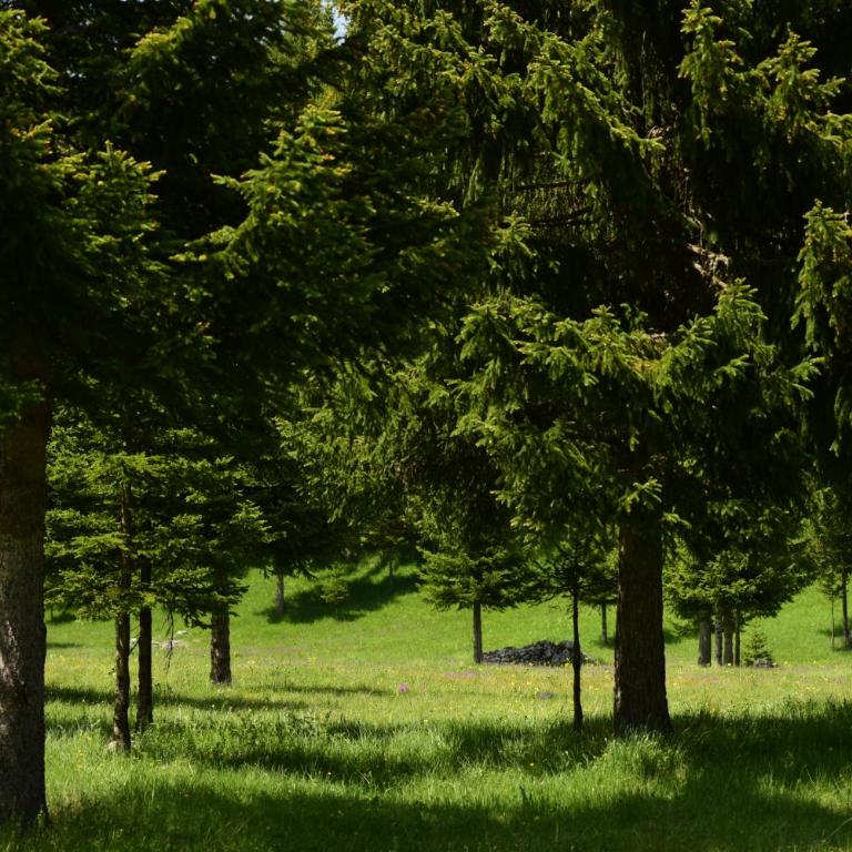 D&N place - Two-Bedroom House - 35