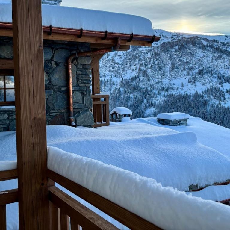 Les chryolles - Les mélèzes - Chalet - 1