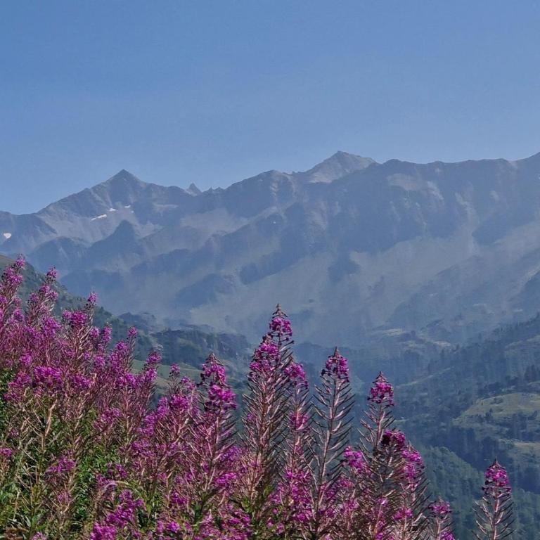 Les chryolles - Les mélèzes - Chalet - 25