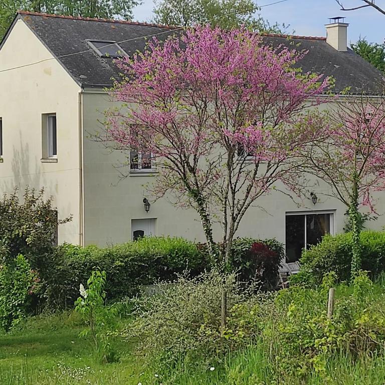 Les 2 Chênes - Chambre Double - 1