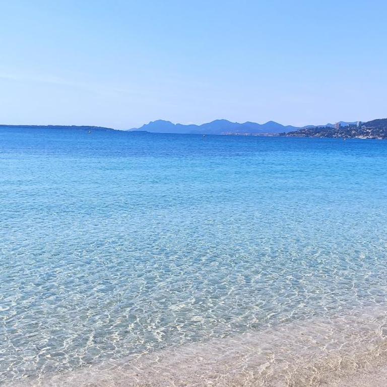 Antibes Azure Retreat - Apartamento de 1 dormitorio - 9