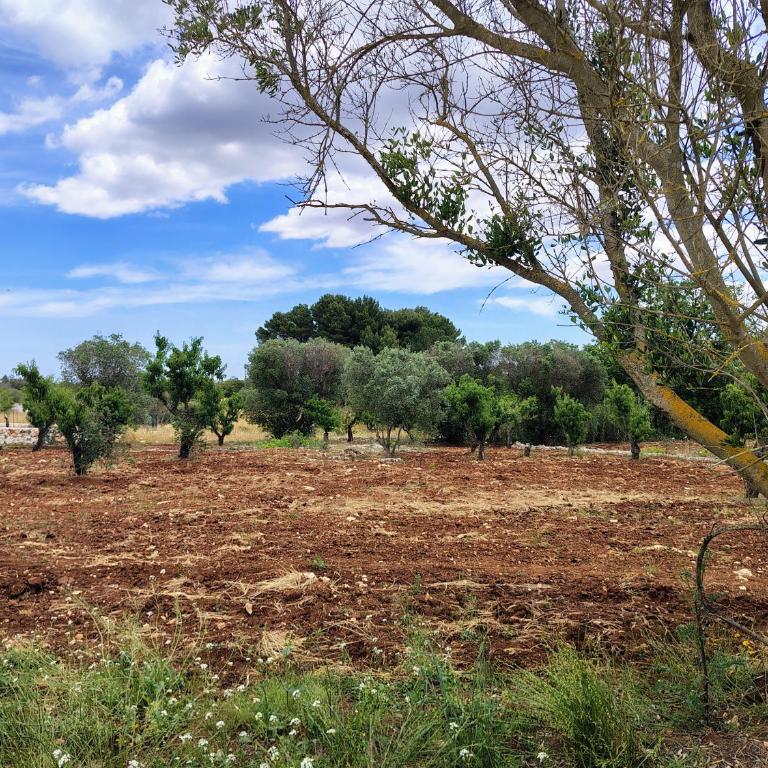 Le pietre di Puglia - Casa con 2 Camere da Letto - 52