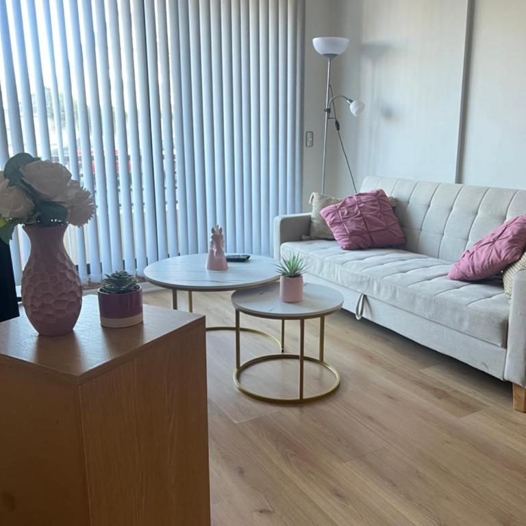 Departamento a pasos Casino MDS, Aeropuerto, Mall Trébol, UNAB, Supermercado Versluys - Apartamento de 2 dormitorios - 18