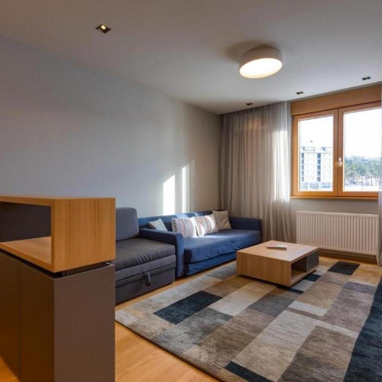 Kalman SPA&GYM - Apartman sa 1 Spavaćom Sobom - 4