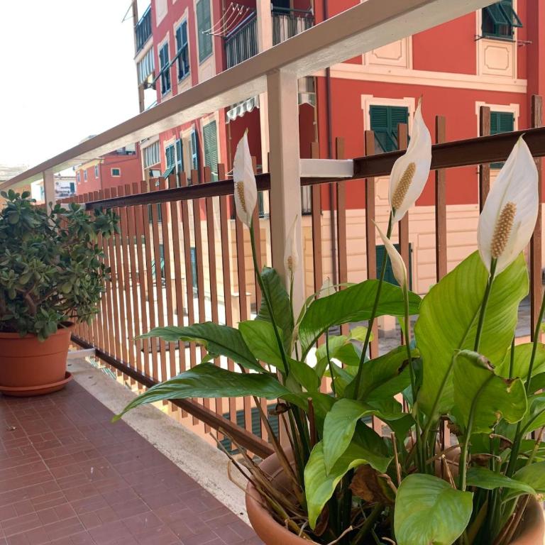 The Riviera Apartment - Appartamento con 2 Camere da Letto - 8