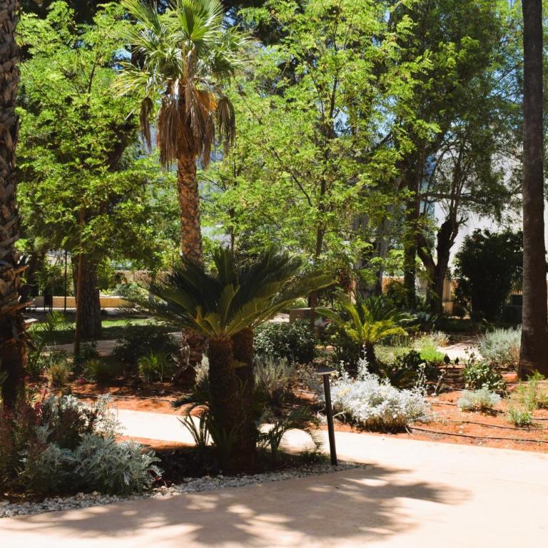 Anacasa Marina de Denia Nerva AP2244 - Apartamento con terraza - 18
