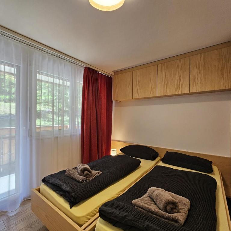 Evelyne - Apartment mit Blick auf die Berge - 8