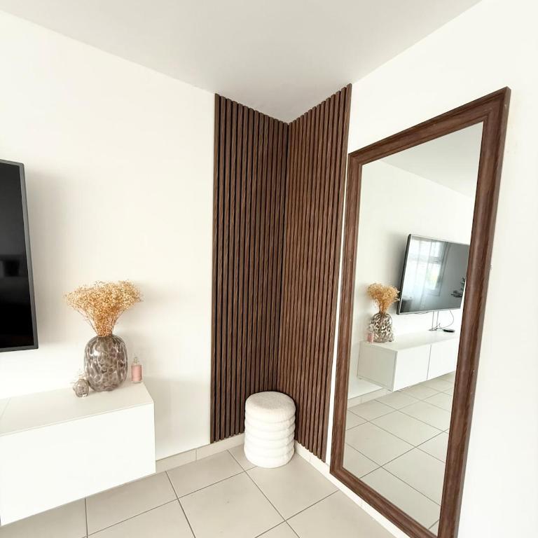 Le Tilleul F2 cosy proche centre - Appartamento con 1 Camera da Letto - 12