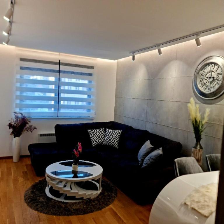 Lux apartman Central 36-Vila Pekovic - Apartman sa 1 Spavaćom Sobom - 2