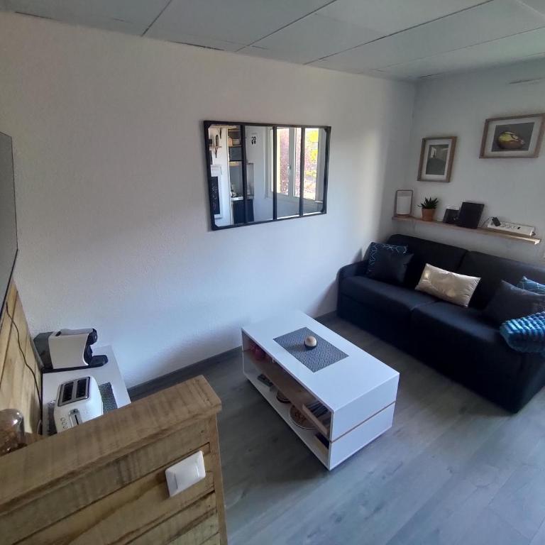 Le Petit Coolmar - Appartement - 2