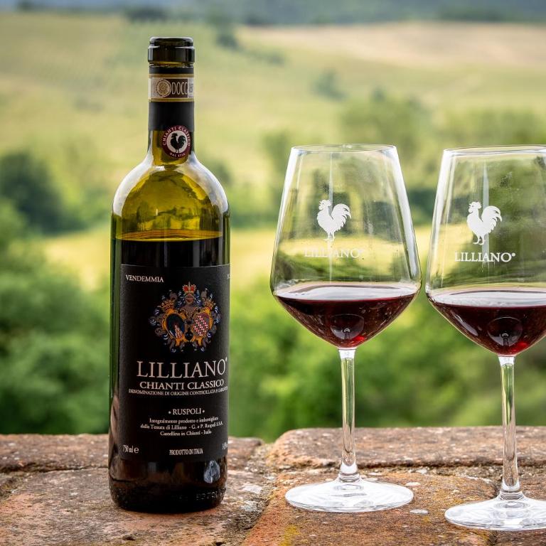 In The Heart Of Chianti, Pool, Wifi, View - Lilliano - Villa con Piscina Privata - 58