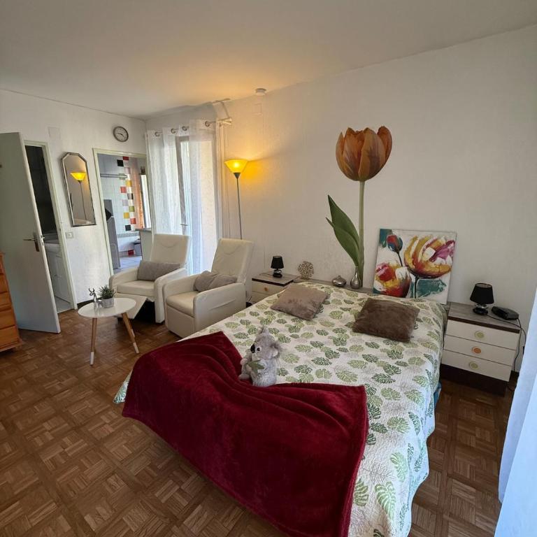 Studio tout équipé face aux thermes - Appartement 1 Chambre - 7