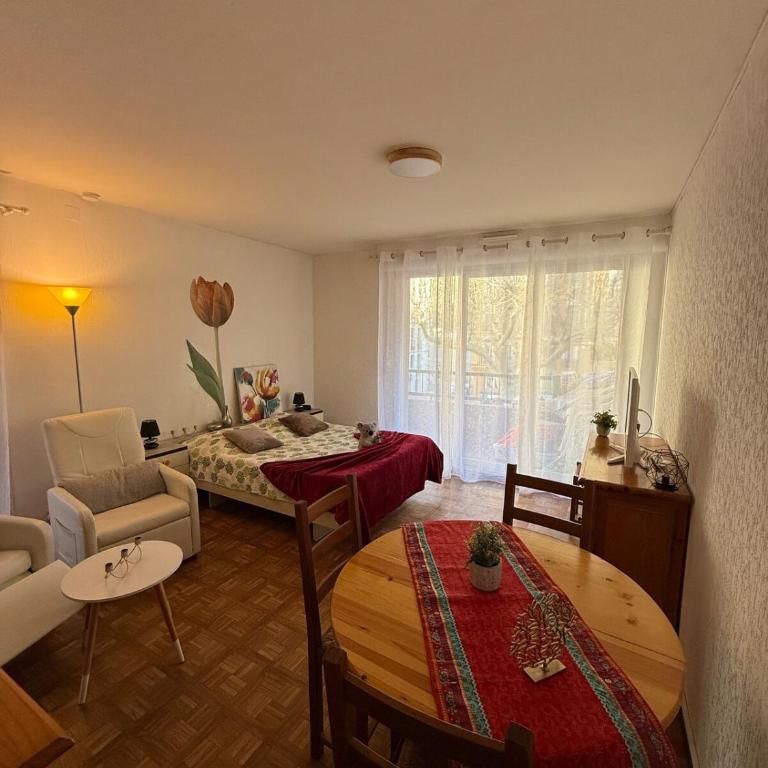 Studio tout équipé face aux thermes - Appartement 1 Chambre - 10