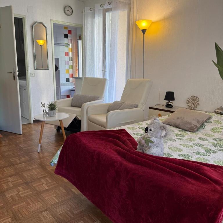 Studio tout équipé face aux thermes - Appartement 1 Chambre - 17