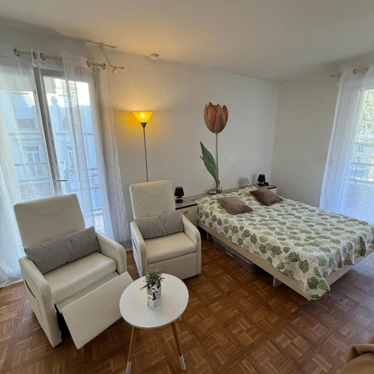 Studio tout équipé face aux thermes - Appartement 1 Chambre - 29