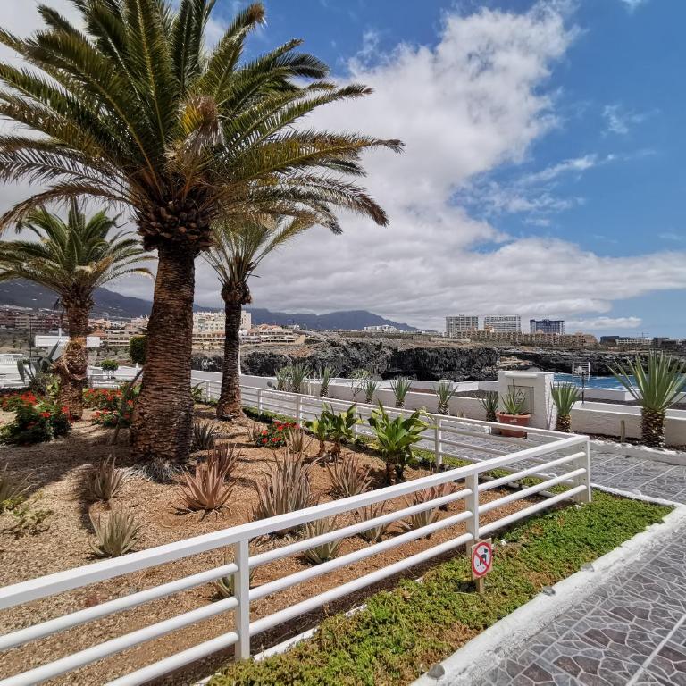 Barandas Beachfront Apartment Ocean Outside - Estudio Deluxe con cama grande - 4