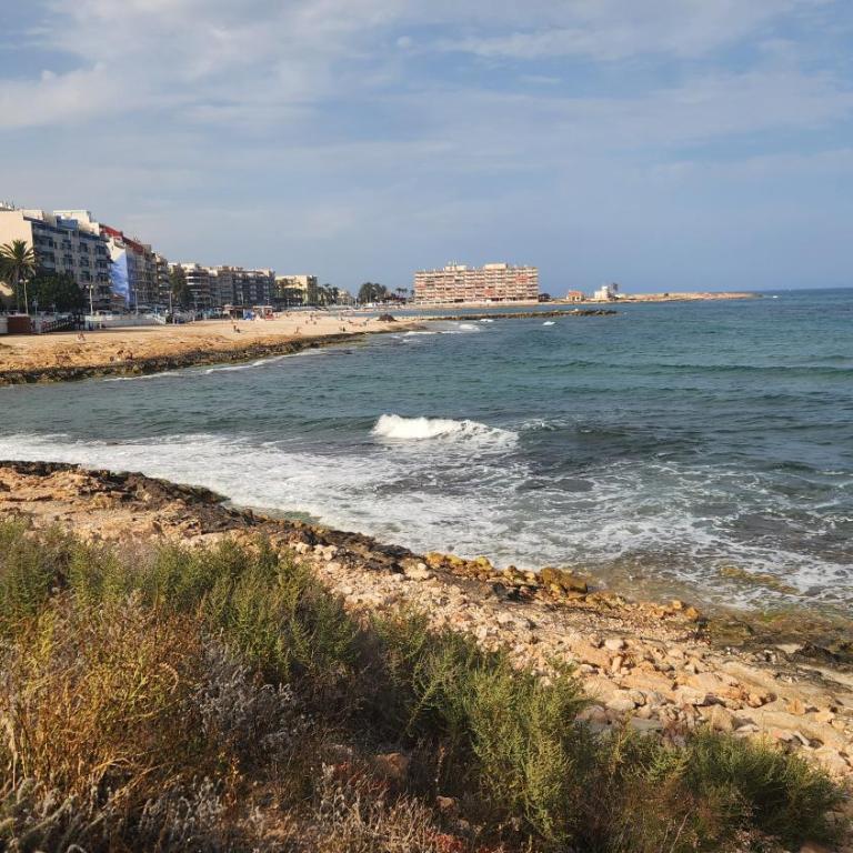 Apartament Torrevieja Playa Los Locos - Apartamento de 2 dormitorios - 58