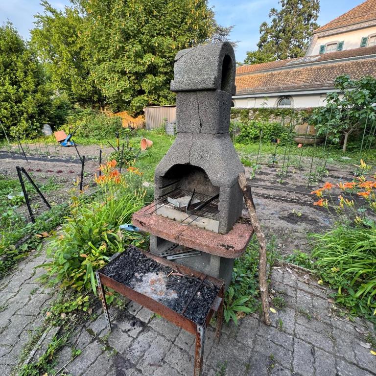 Historic House Aigle - Lake & Alps - Garden & BBQ - Apartment mit 2 Schlafzimmern und Bergblick - 35