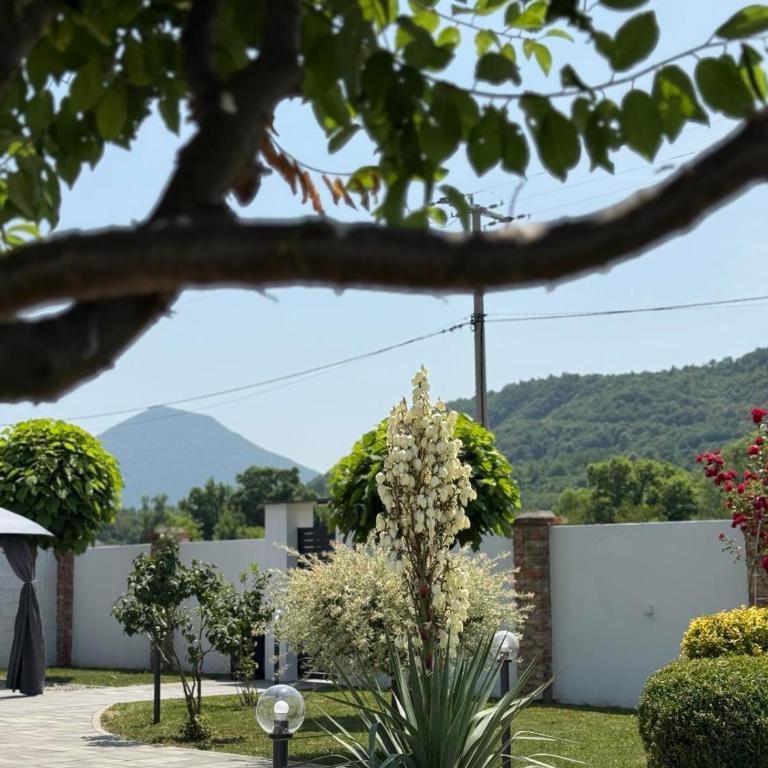 Family estate Hadžalova avlija - Six-Bedroom House - 46