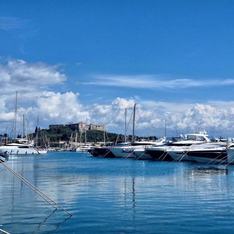 Logement insolite French Riviera avec parking - Imbarcazione - 13