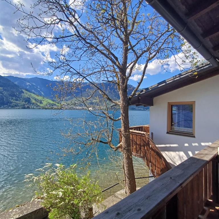 Waterfront Apartments Zell am See - Steinbock Lodges - Apartment - Erdgeschoss - 10