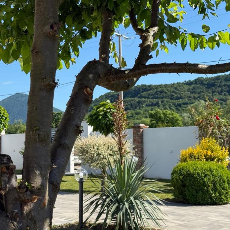 Family estate Hadžalova avlija - Six-Bedroom House - 33