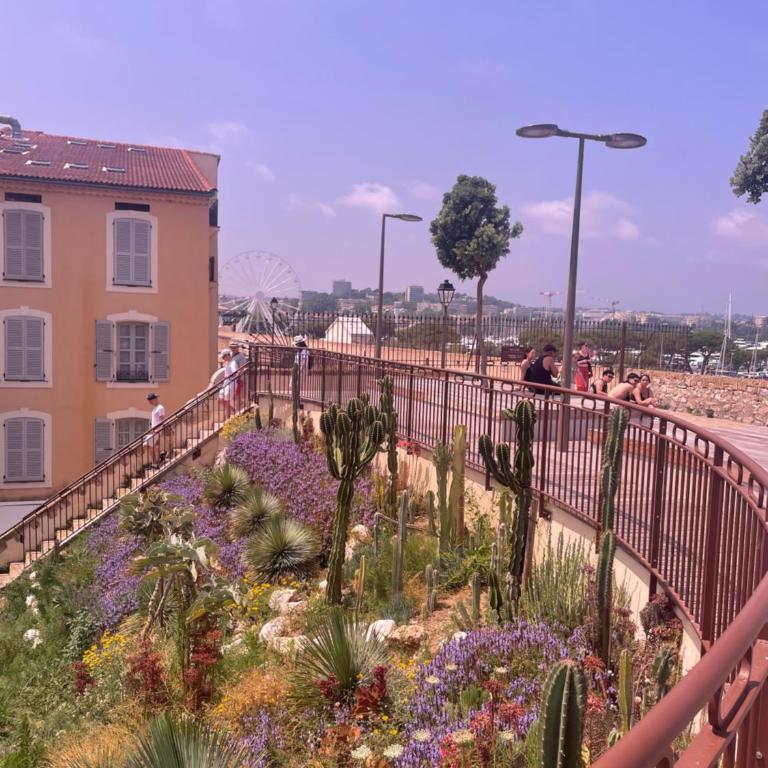 Logement insolite French Riviera avec parking - Imbarcazione - 8