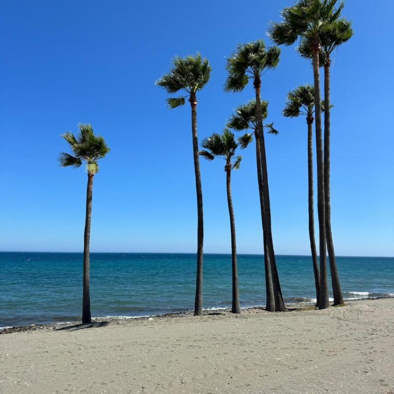 Azul on the New Golden Mile 1min walk from beach by Allstay - Apartamento de 2 dormitorios con terraza - 9