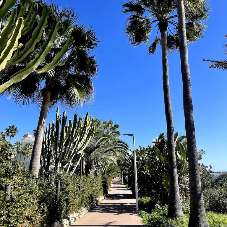 Azul on the New Golden Mile 1min walk from beach by Allstay - Apartamento de 2 dormitorios con terraza - 17