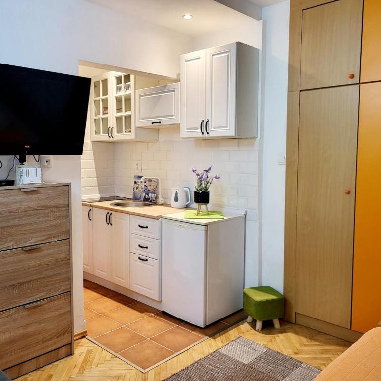 Apartments Maris Garden - Standardni Trokrevetni Studio - 9
