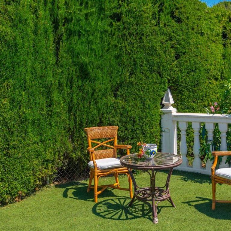 Casa Rural Marquez Ronda by Ruralidays - Villa - 41