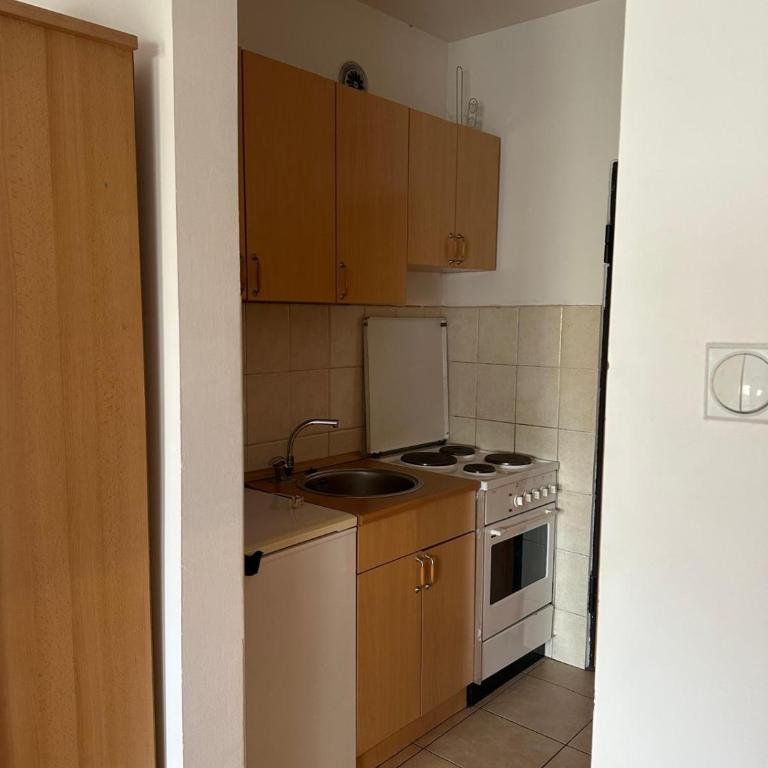 Latinovic 36 - Apartman sa 1 Spavaćom Sobom - 7