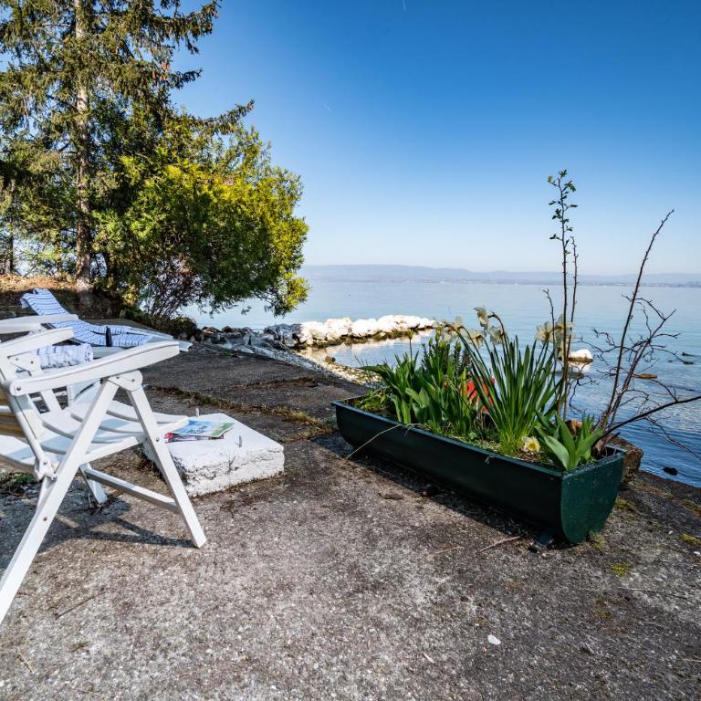 La Villa du Lac - Appartements de vacances - Les pieds dans l'eau - Appartement 3 Chambres Supérieur - 48