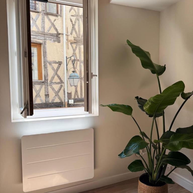 Élégant duplex dans le centre historique - Appartement 1 Chambre - 2