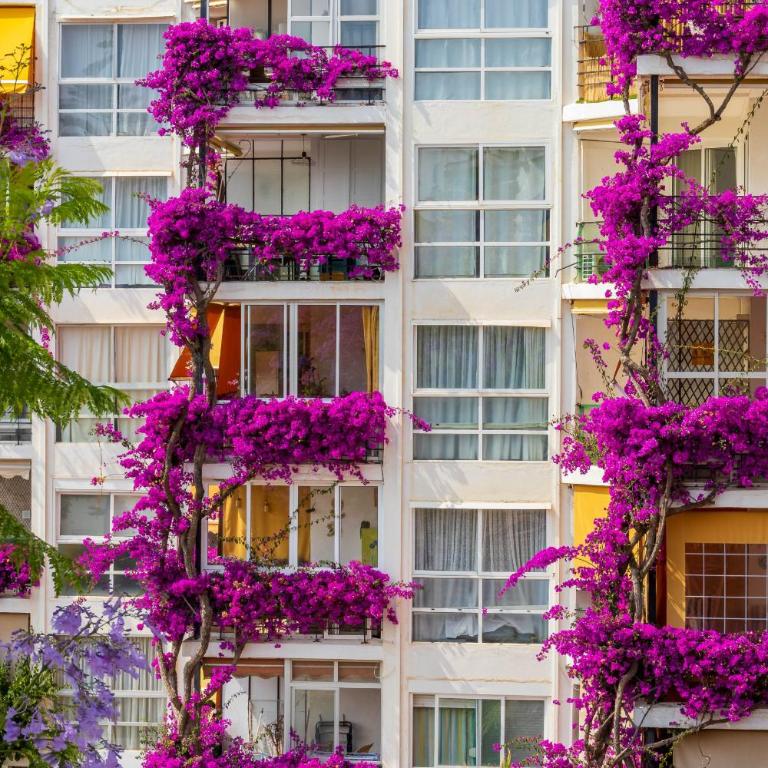 Casa Al Andalus - Apartamento de 2 dormitorios con terraza - 16