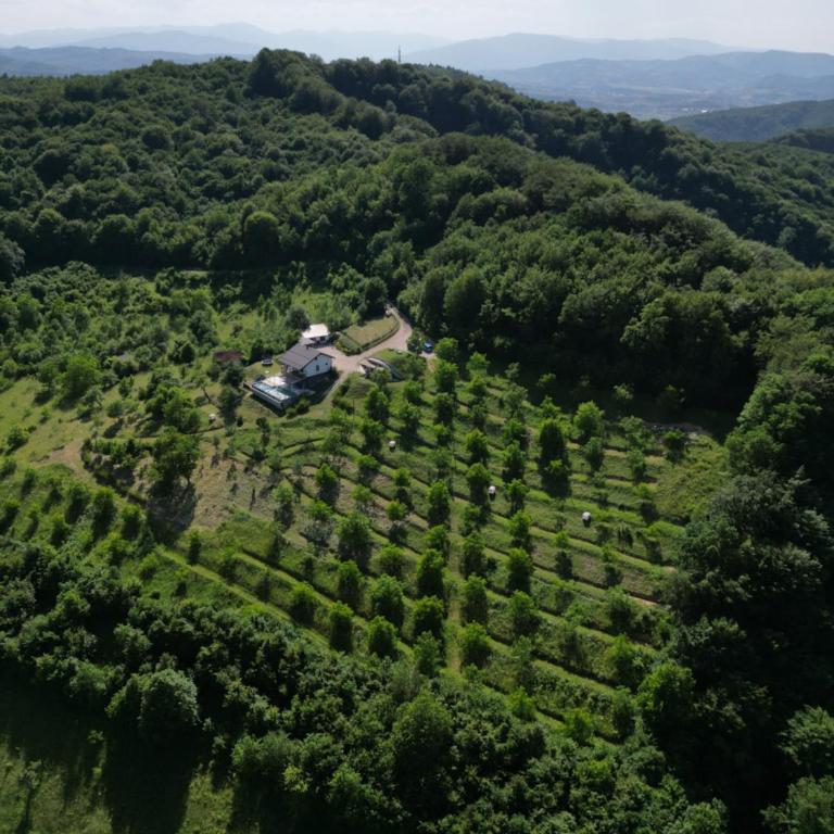 Green Sea Resort - Zeleno More - Vila sa Sopstvenim Bazenom - 21