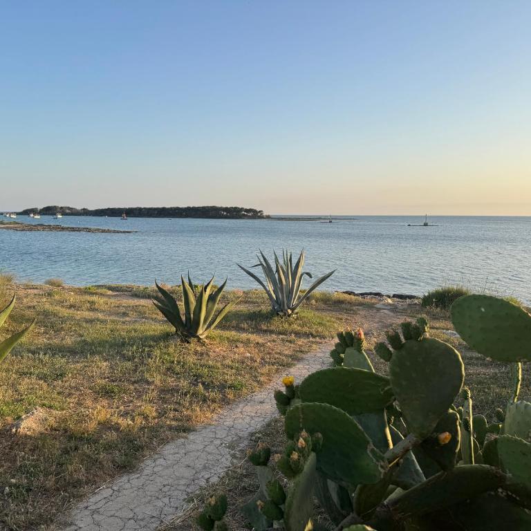 La casa di Paride - Two-Bedroom Apartment - 13