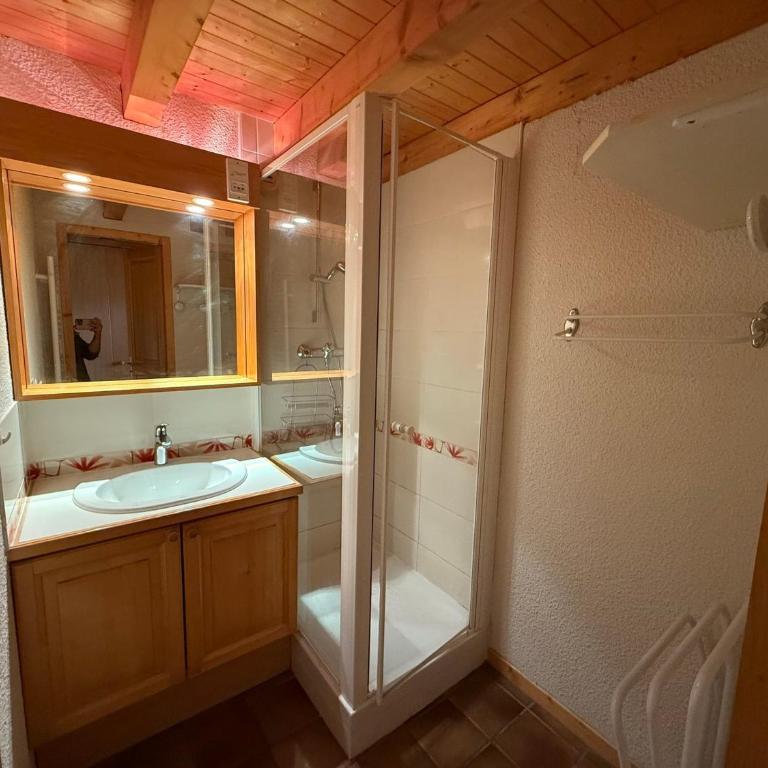 Les Saisies: Appartement 52m², 6 pers, Animaux admis - Apartment mit 1 Schlafzimmer - 7