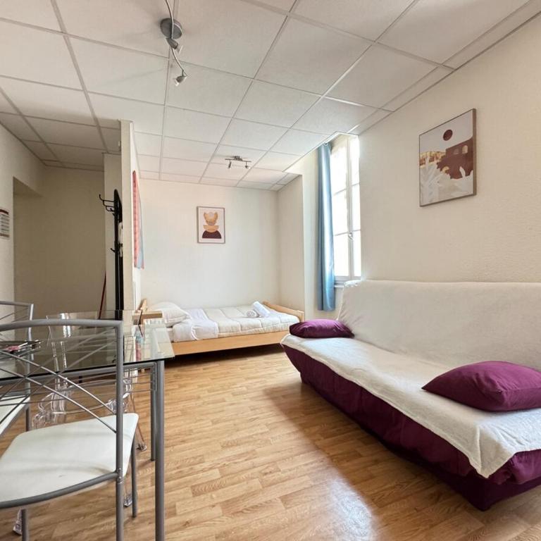 Appartement proche facs - Appartement 1 Chambre - 7