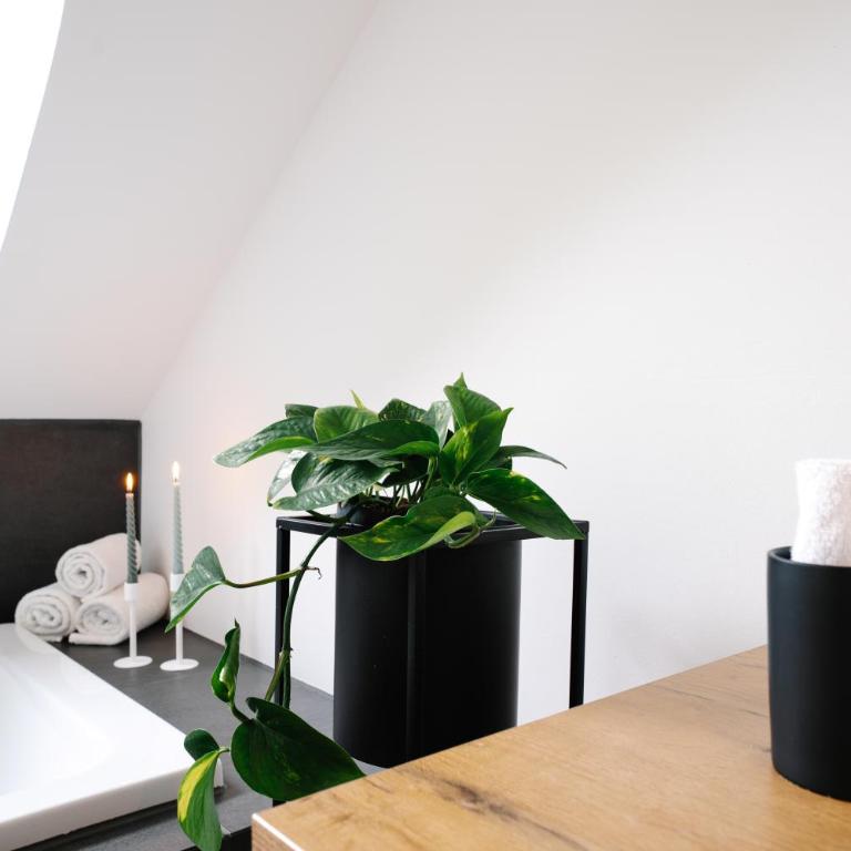 Beim Julius - Apartment mit 3 Schlafzimmern - 23