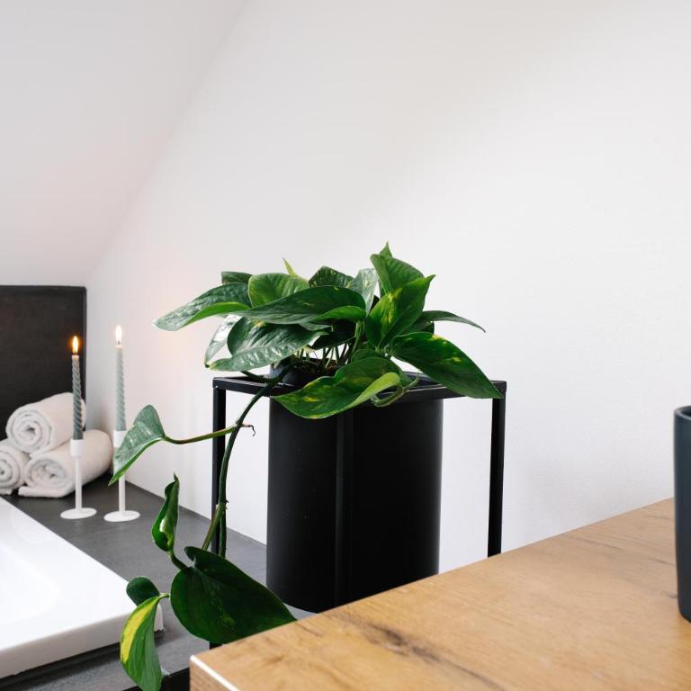 Beim Julius - Apartment mit 3 Schlafzimmern - 34