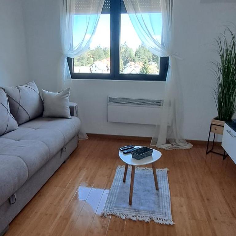 BellaVistaZlatibor - Apartman sa 1 Spavaćom Sobom - 2