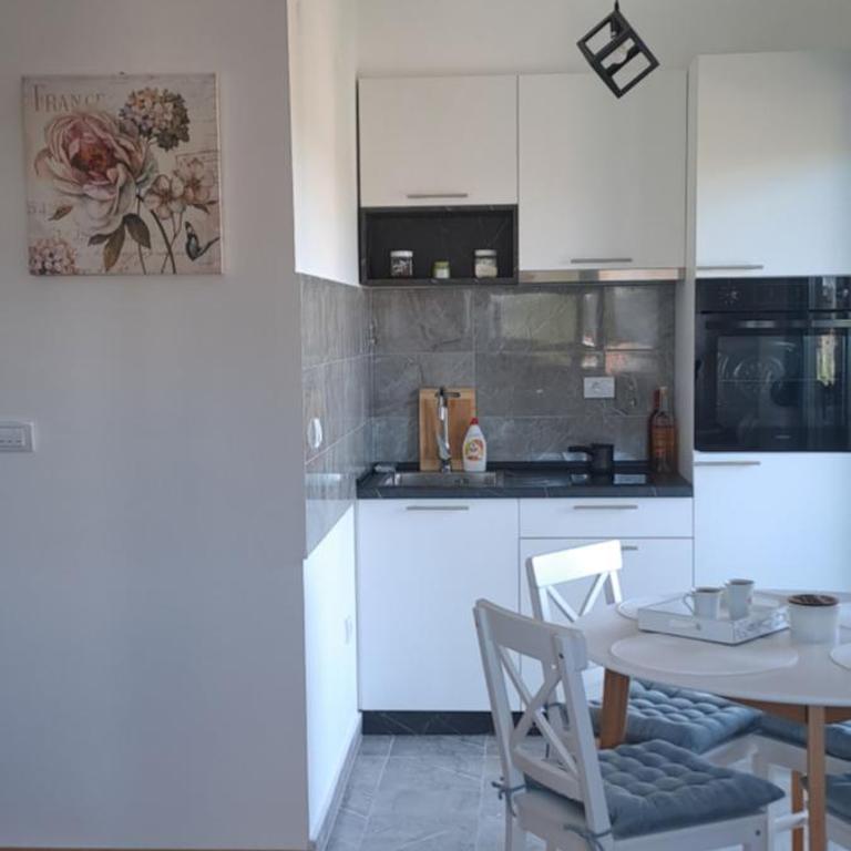 BellaVistaZlatibor - Apartman sa 1 Spavaćom Sobom - 10