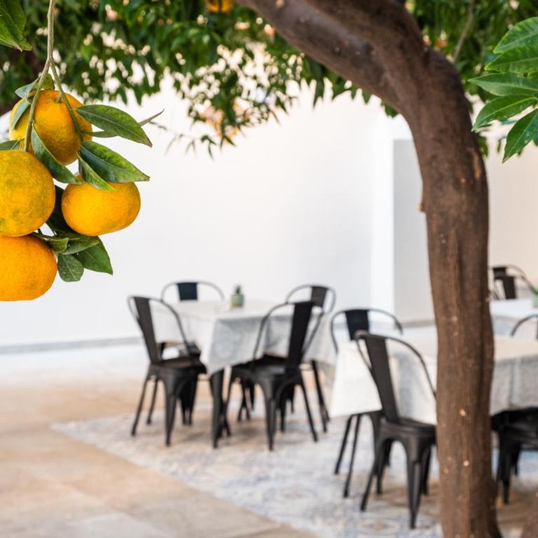 GARDEN HOUSE: APARTMENTS AND ROOMS FOR HOLIDAYS - Habitación Doble con baño privado - 22