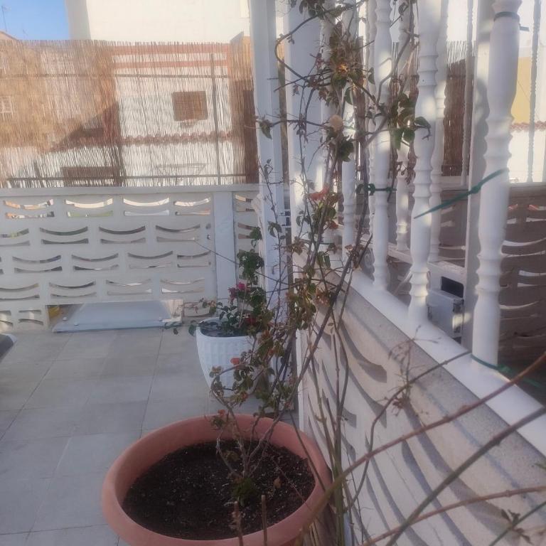 Alba 2 apartamento y Alba 3 habitación con baño - Apartamento con terraza - 5