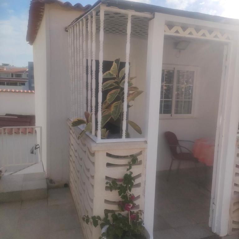 Alba 2 apartamento y Alba 3 habitación con baño - Apartamento con terraza - 12