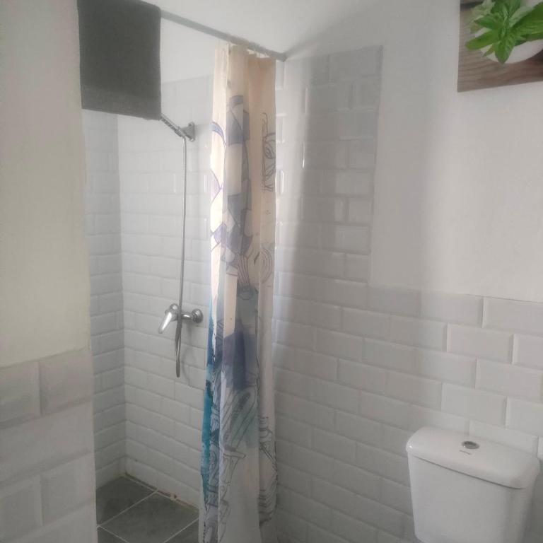 Alba 2 apartamento y Alba 3 habitación con baño - Apartamento con terraza - 19