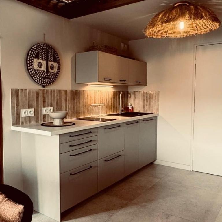 Nid douillet pour vos vacances ! - Appartement 1 Chambre - 8
